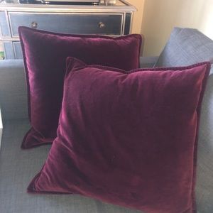 Pottery Barn Velvet Pillow (1 left)